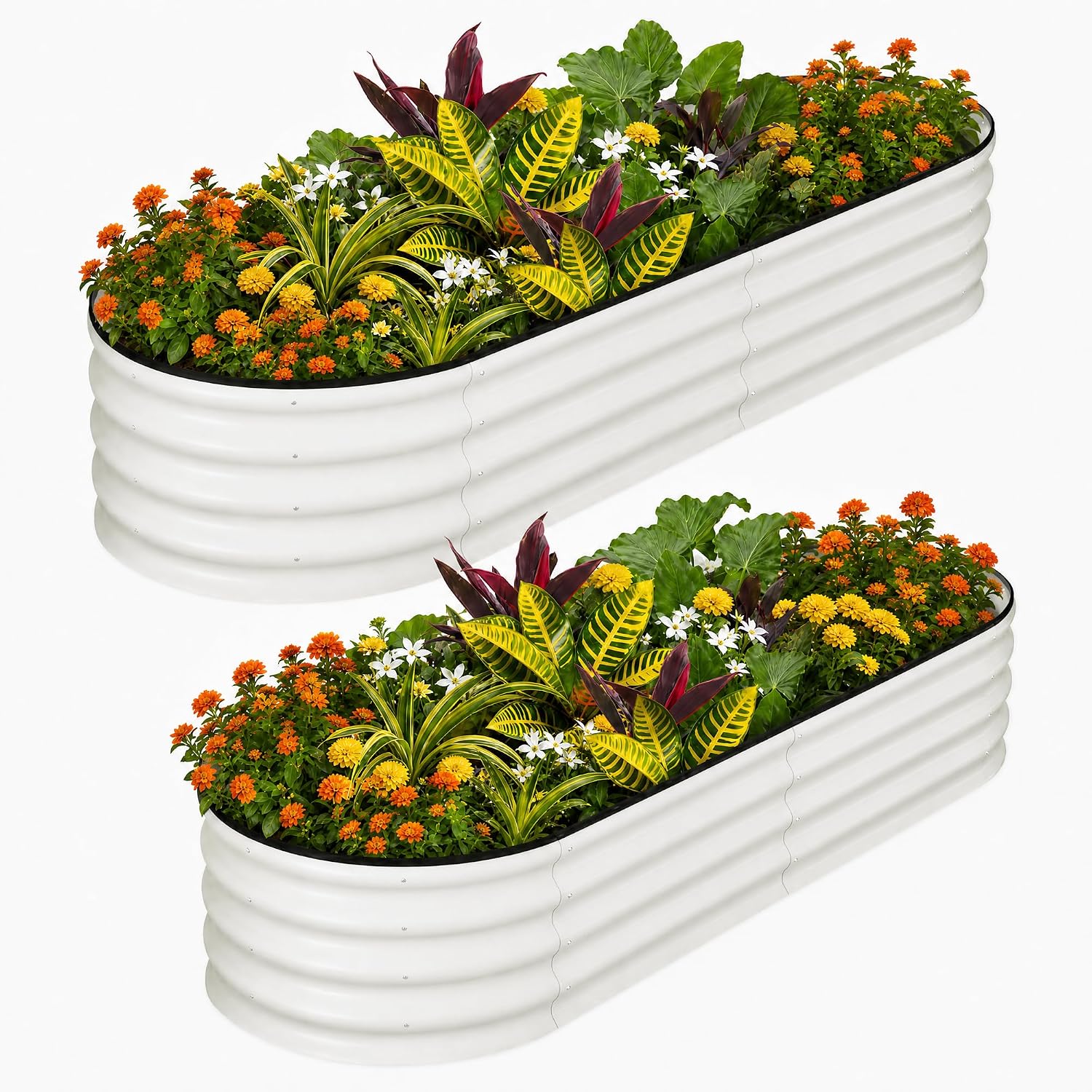 Tacleekii 6X3X1FT Oval Galvani - Planter Raised Metal review and price