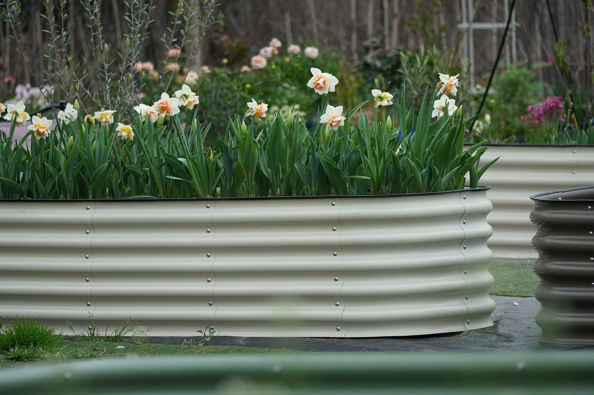 Large Galvanized Raised Garden - Planter Raised Metal review and price