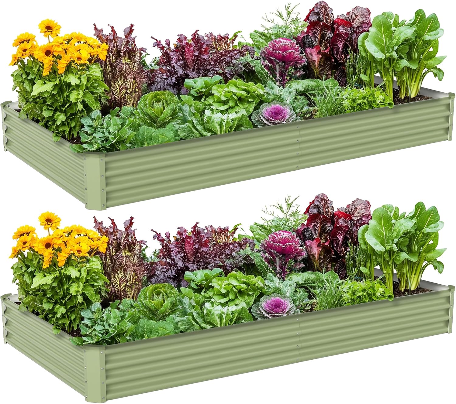 Outdoor Vegetable Gardening Me - Planter Raised Metal review and price